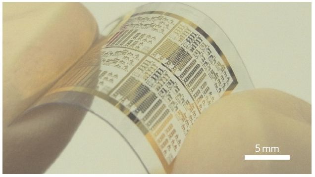 Transparent Graphene Circuit