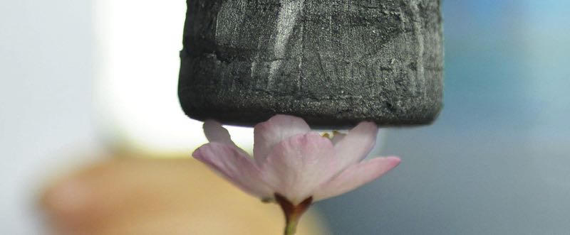 Graphene Aerogel