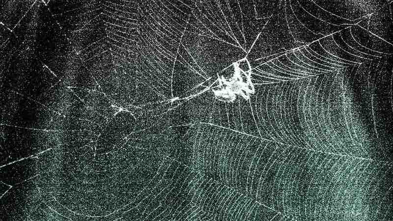 Graphene Fiber